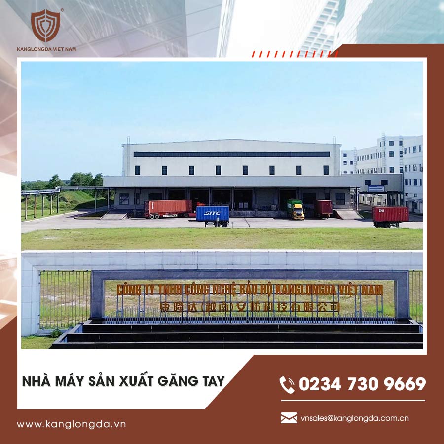 Nhà máy sản xuất găng tay