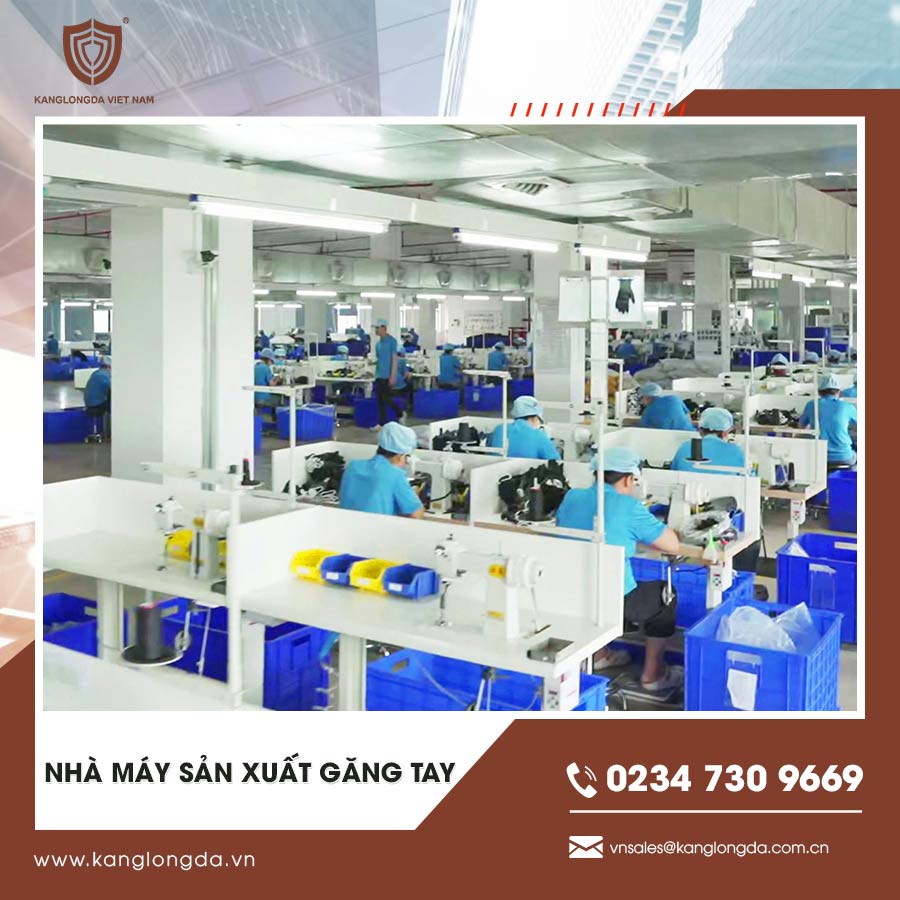 Nhà máy sản xuất găng tay