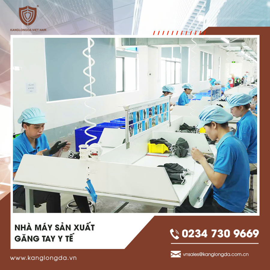 Nhà máy sản xuất găng tay y tế