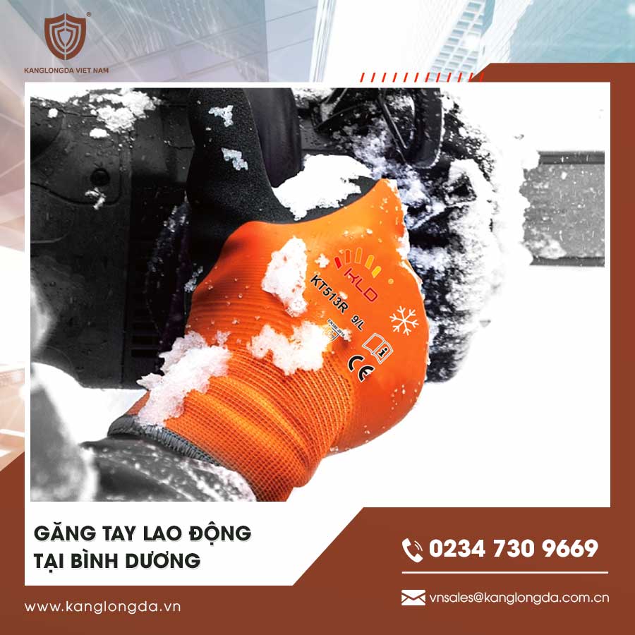 Găng Tay Lao động tại Bình Dương