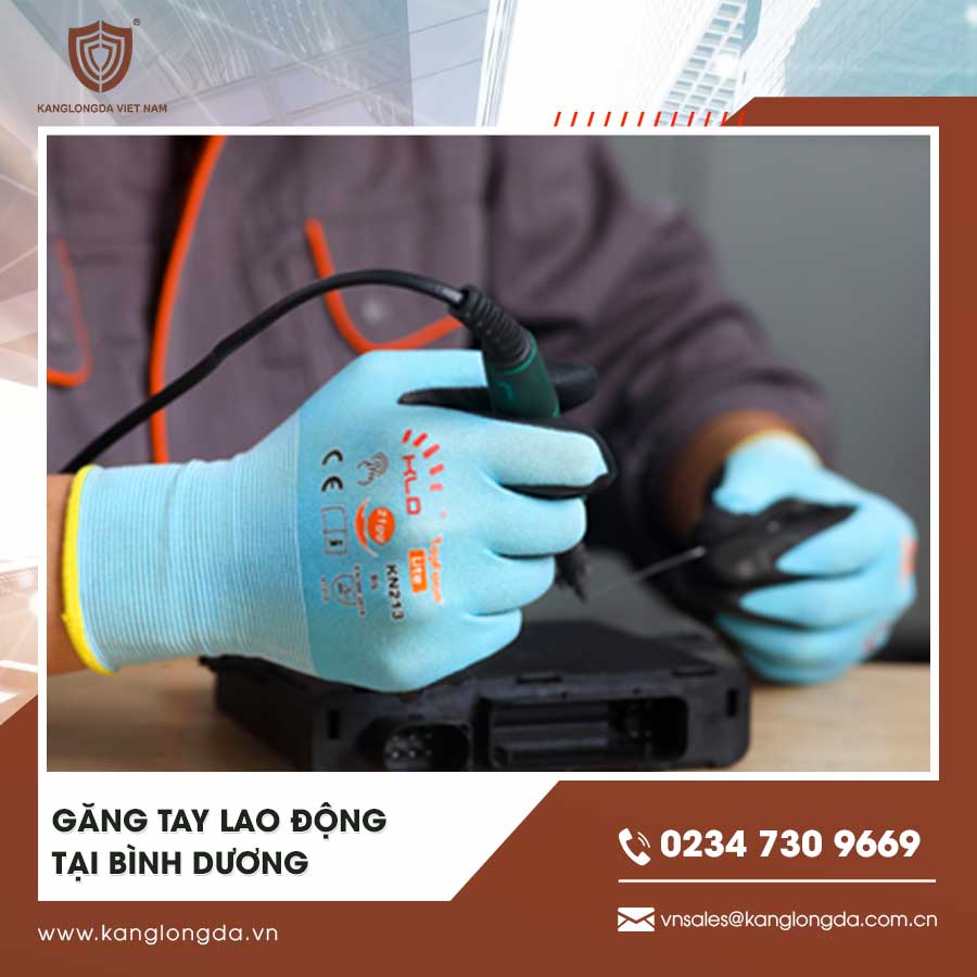 Găng Tay Lao động tại Bình Dương