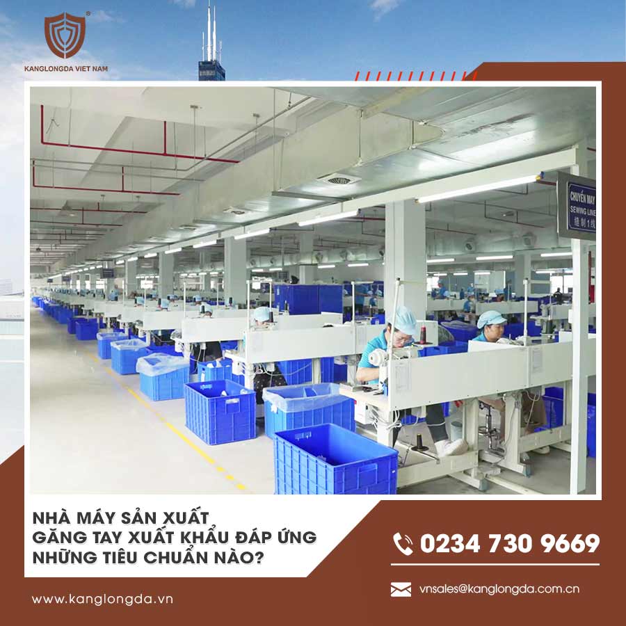 Nhà máy sản xuất găng tay xuất khẩu cần đáp ứng những tiêu chuẩn nào?