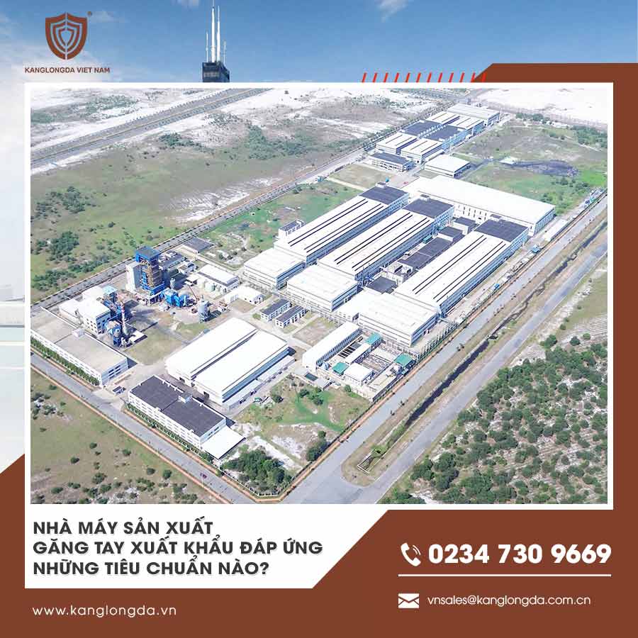Nhà máy sản xuất găng tay xuất khẩu cần đáp ứng những tiêu chuẩn nào?