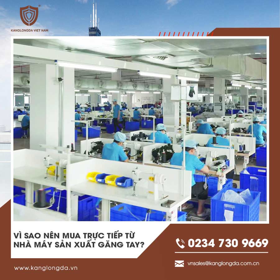 Vì sao nên mua trực tiếp từ nhà máy sản xuất găng tay?